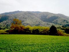 10/18｜日本の原風景・小さな旅「門毛」　門毛ジオツアーに関するページ