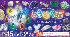 ミュージアムパーク茨城県自然博物館で企画展『ときめく石 -色と形が奏でる世界-』が開催されています！（10/15~1/29）に関するページ