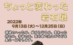 石の百年館で企画展「ちょっと変わった岩石展」を開催しています！（9/13～12/25）に関するページ