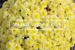 【「第115回笠間の菊まつり」が開催されています！（2022年10月22日～11月23日）】に関するページ