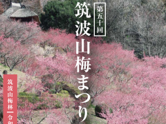 第50回筑波山梅まつり　特別イベント「筑波山地域ジオパークの日」を開催します！（2/25,26）に関するページ