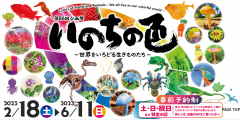 ミュージアムパーク茨城県自然博物館で第86回企画展「いのちの色－世界をいろどる生きものたち－」が開催されています！（2/18~6/11）に関するページ