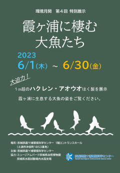 茨城県霞ケ浦環境科学センターで特別展示「霞ヶ浦に棲む大魚たち」が開催されています！（6/1～6/30）に関するページ