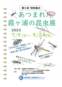 茨城県霞ケ浦環境科学センターで第５回特別展示「あつまれ霞ヶ浦の昆虫たち」が開催されています！（7/9~9/24）に関するページ