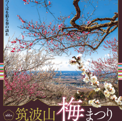 第51回筑波山梅まつりで「筑波山地域ジオパークの日」を開催いたします！（3/2）に関するページ