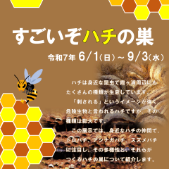 茨城県霞ケ浦環境科学センターで第10回特別展示「すごいぞハチの巣」が開催されています（６月１日〜９月３日）