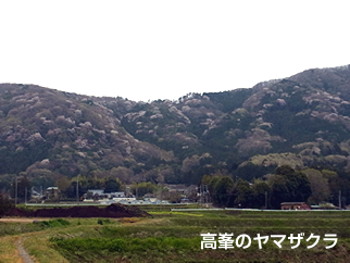 『1 高峯・富谷山－写真』の画像