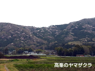 1 高峯・富谷山