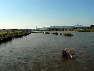 17 高浜・石岡