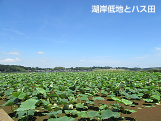 20 沖宿