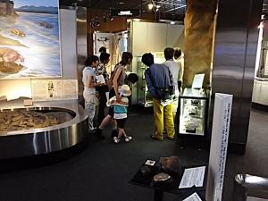 『地質標本館館内ツアー(1)』の画像