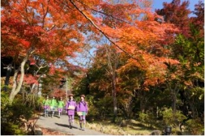 『『ハイキングツアー』の画像』の画像