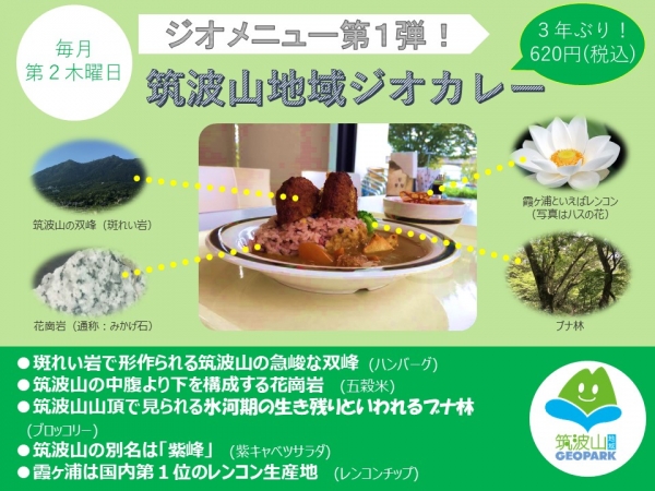 『ジオカレー』の画像