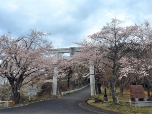 『『『あたご山桜まつりの様子１』の画像』の画像』の画像