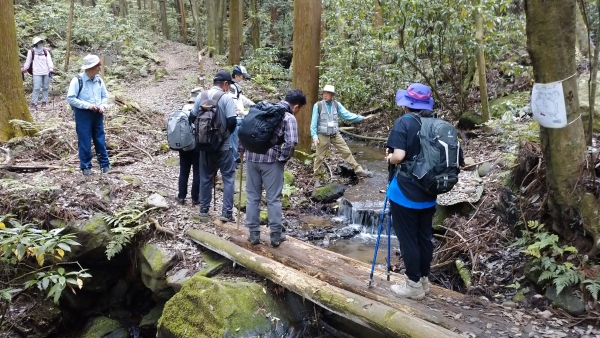 『小町山登山１』の画像