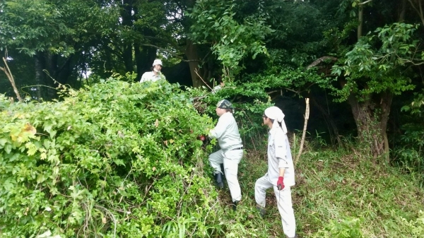 『2022-07-14-龍神山・波付岩清掃活動１』の画像