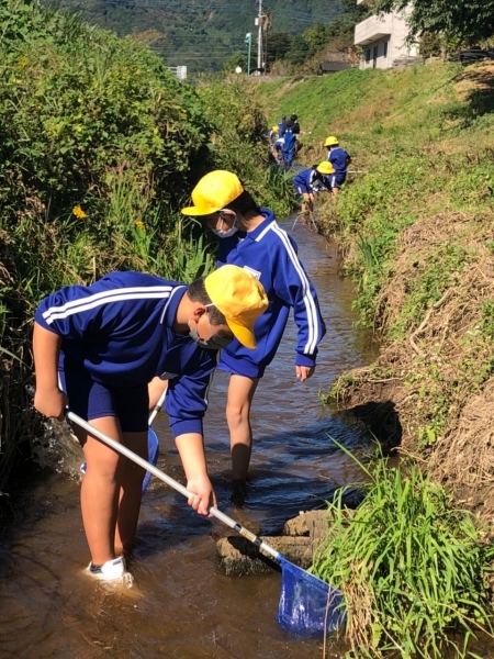 『2022-10-26-河川環境学習4』の画像