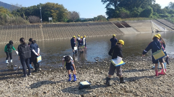 『2022-11-11-河原の石ころから過去の環境を考える河川環境学習を行いました！＠桜川中流3』の画像