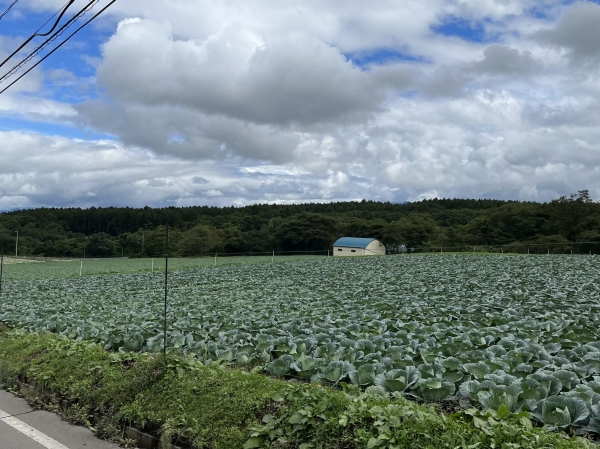 『関東大会４』の画像