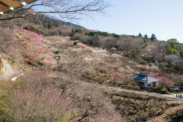 『2022-12-08-筑波山南麓を巡るジオパーク現地学習が行われました！3』の画像