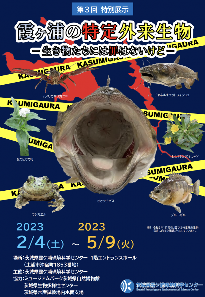 『第３回特別展示「霞ヶ浦の特定外来生物－生き物たちには罪はないけど－」』の画像