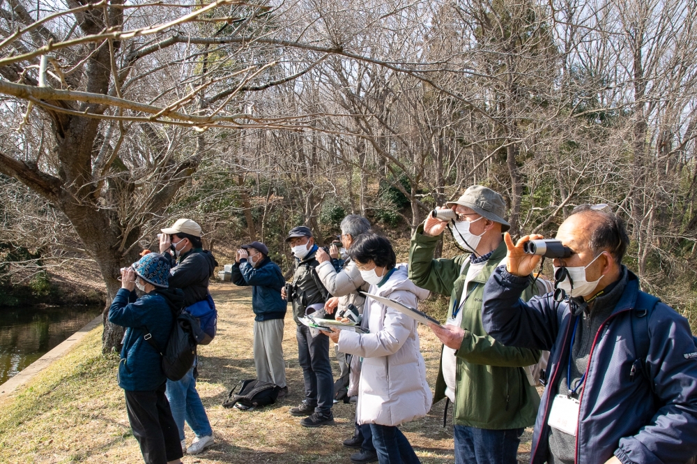 『野鳥観察』の画像