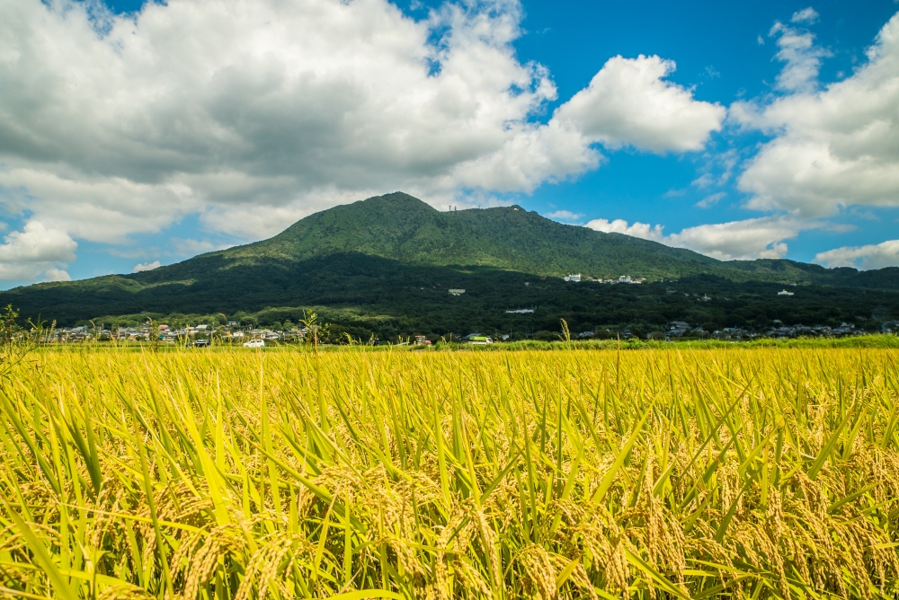 『関東平野から見た筑波山の山容』の画像