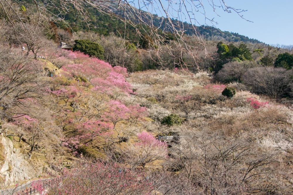 『06. 筑波山南麓（つくば市）-1』の画像