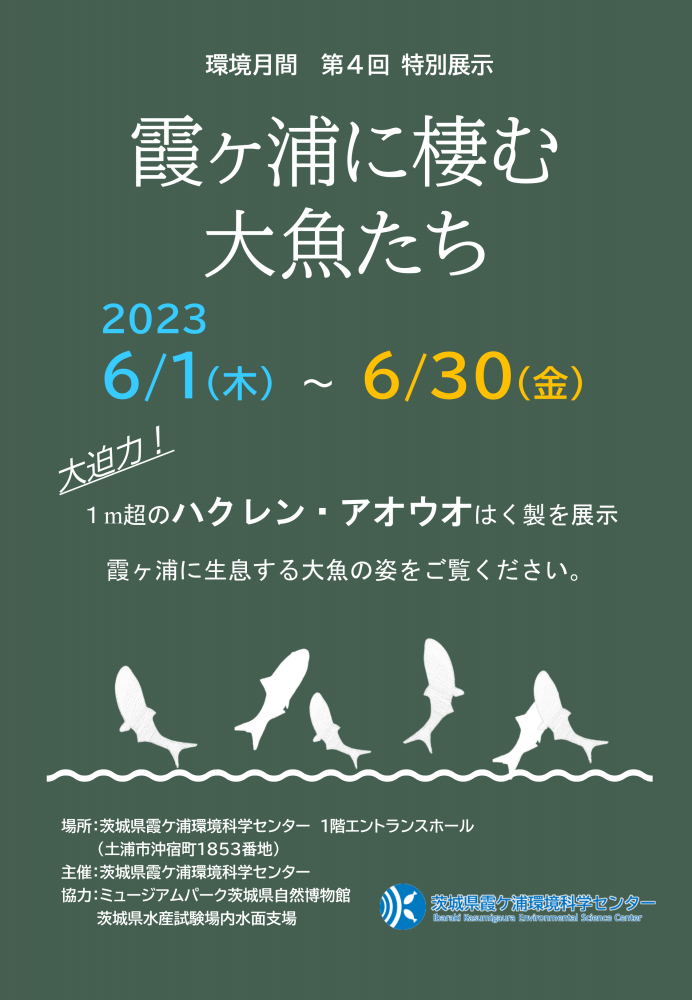 『霞ヶ浦に棲む大魚たち』の画像