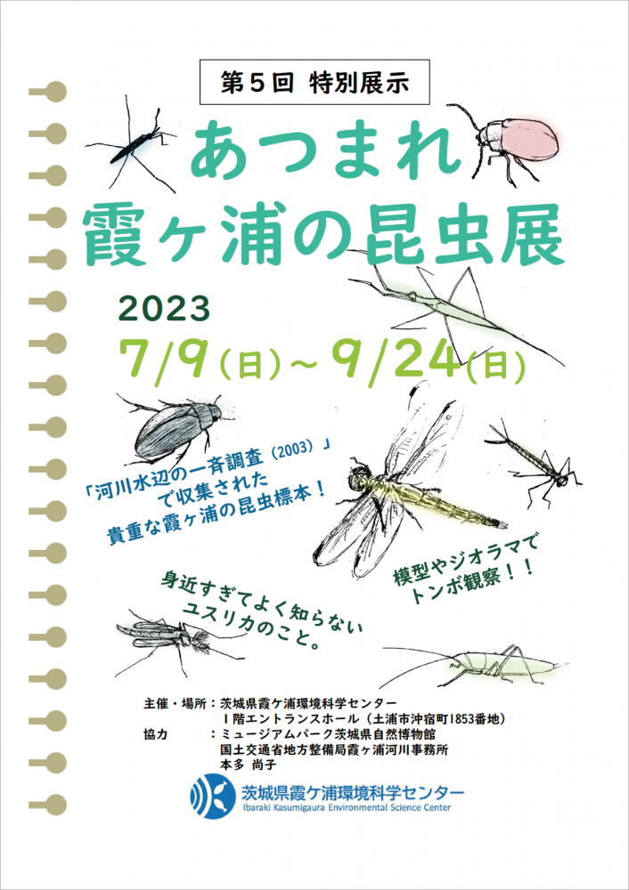 『第５回特別展示「あつまれ霞ヶ浦の昆虫たち」』の画像