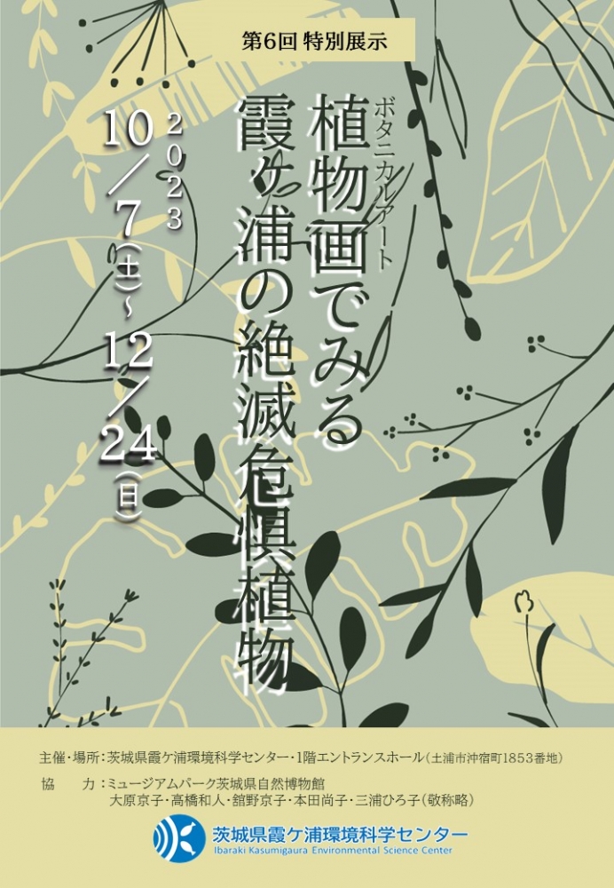 『植物画（ボタニカルアート）でみる霞ヶ浦の絶滅危惧植物』の画像