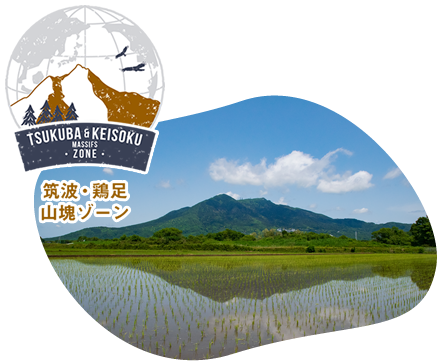 筑波・鶏足山塊ゾーン