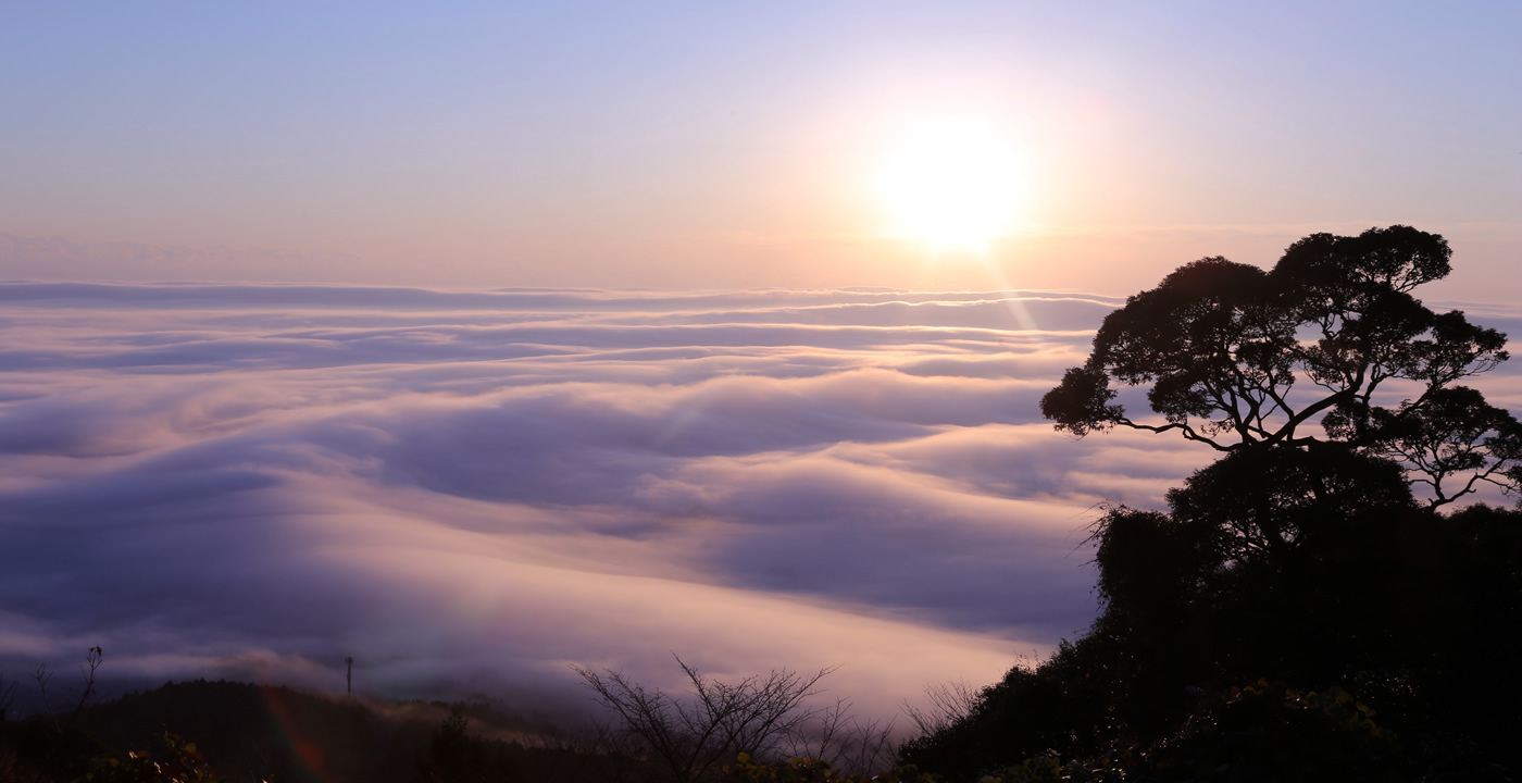 愛宕山の雲海